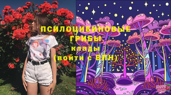 мет Абаза