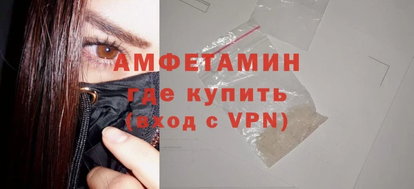 прущие грибы Абинск