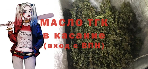прущие грибы Абинск