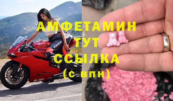 прущие грибы Абинск