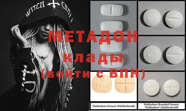 прущие грибы Абинск