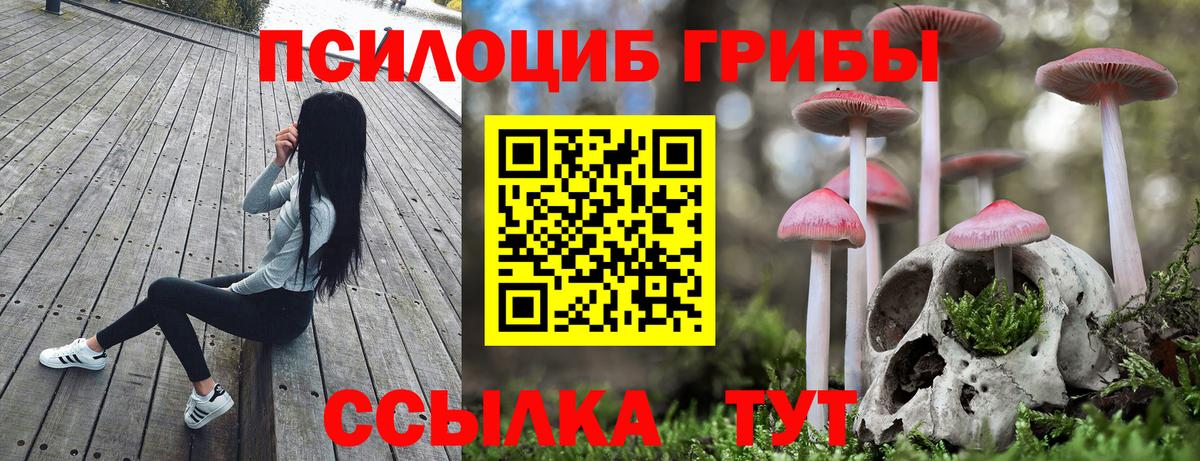 Троицк  Псилоцибиновые грибы GOLDEN TEACHER  Вход с VPN 