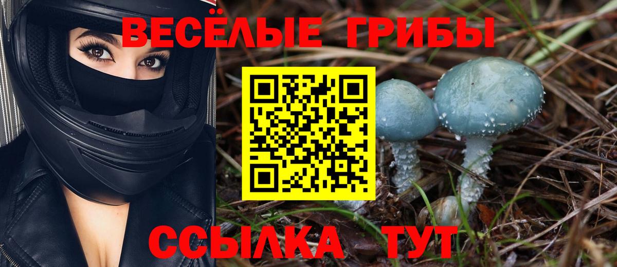 Псилоцибиновые грибы Magic Shrooms Троицк