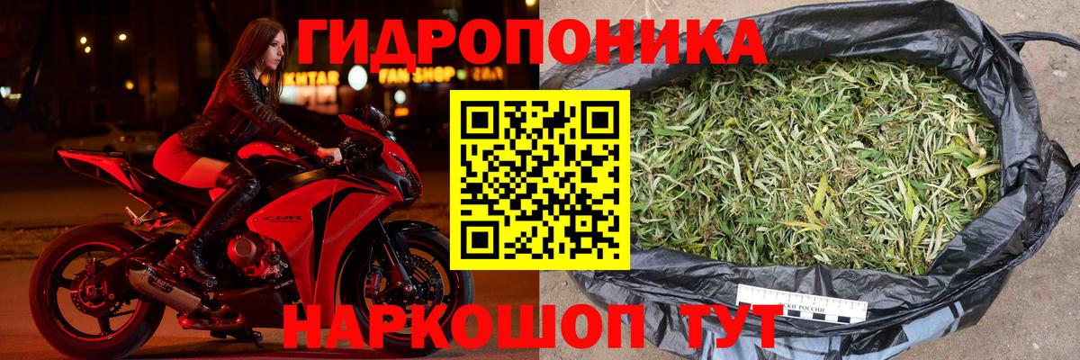 Бошки Шишки планчик  Шишки марихуана конопля  Бошки Шишки план  Бошки марихуана марихуана  Вход с VPN  Троицк 